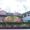幼稚園、保育園