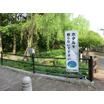 公園