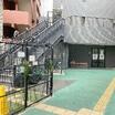 幼稚園、保育園