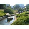公園