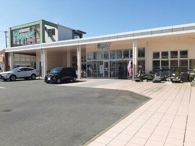 にしてつストアレガネット飯倉