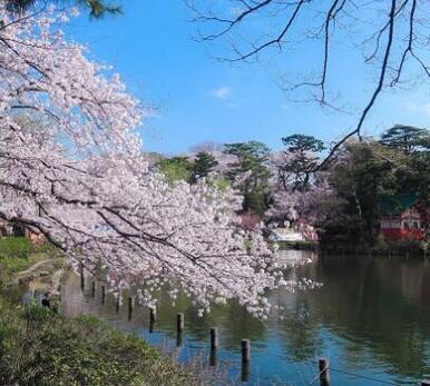 洗足池公園