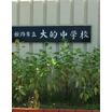 中学校