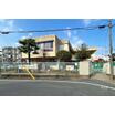 幼稚園、保育園