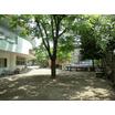 幼稚園、保育園