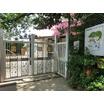 幼稚園、保育園
