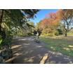 公園