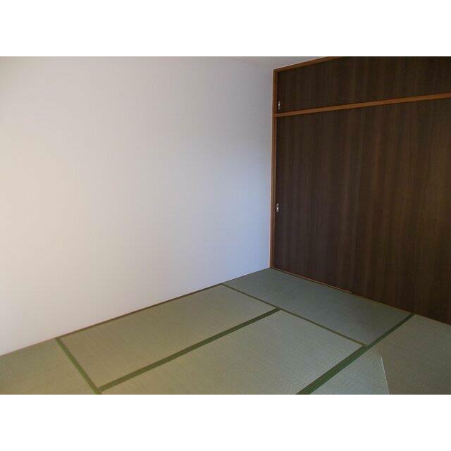 参考写真