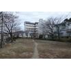 公園