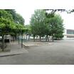 公園