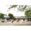 幼稚園、保育園