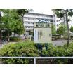 公園