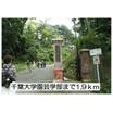 大学