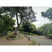 公園
