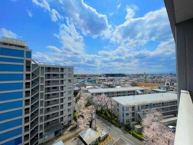 「バルコニーからの眺望」春は満開の桜が上から眺められます。