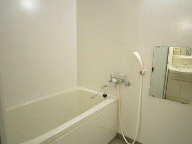 浴室にはミラーがございます