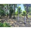 公園