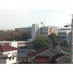 大学