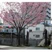 公園