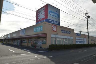 ウエルシア牛久神谷店