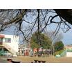幼稚園、保育園