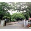 中学校