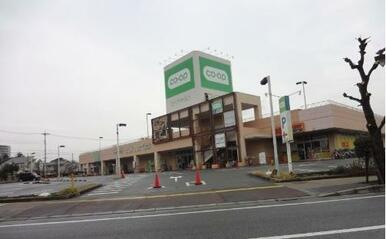 コープ鎌ケ谷店