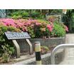 公園