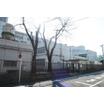 中学校