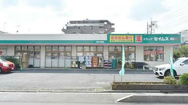 ドラッグセイムス 堀の内店