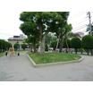 公園