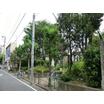 公園