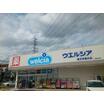 販売店