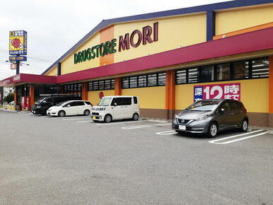 ドラッグストアモリ堤店