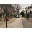 公園