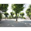 公園