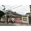 幼稚園、保育園