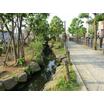 公園