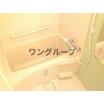 バス/シャワー