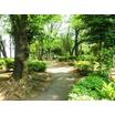 公園