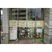 幼稚園、保育園