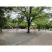 公園