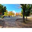 公園