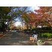 公園