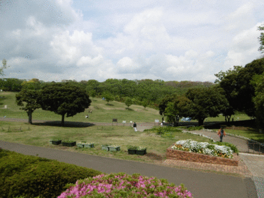 根岸森林公園