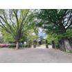 公園