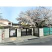 幼稚園、保育園