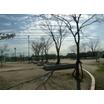 公園