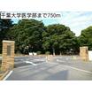 大学