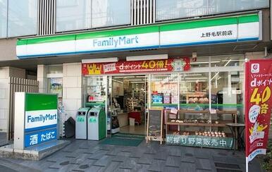 ファミリーマート上野毛駅前店